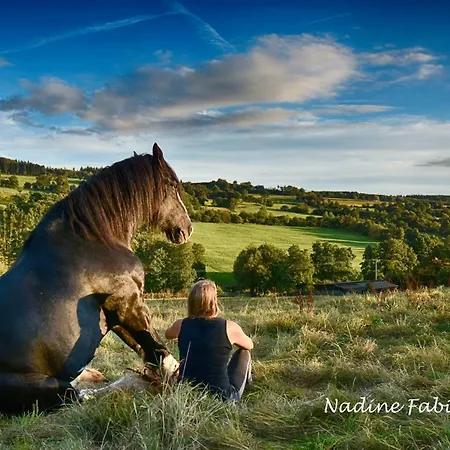 Ferienwohung Mit Blick Auf Pferdekoppel * Schotten