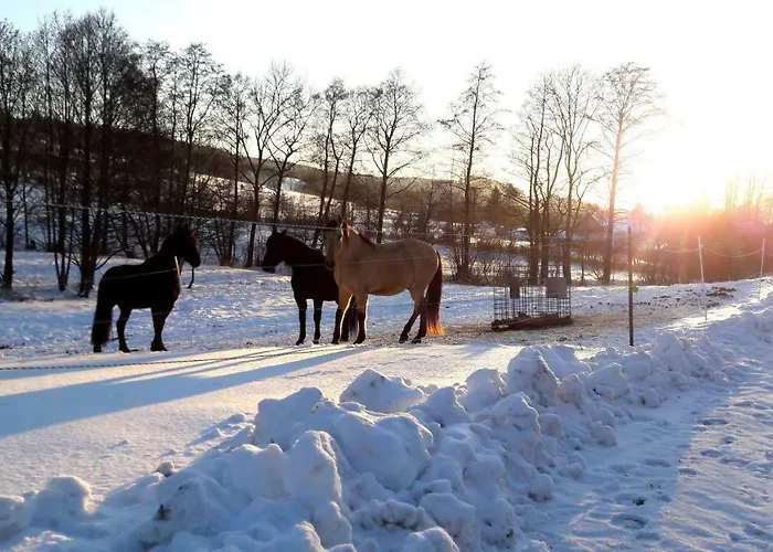 Appartamento Ferienwohung Mit Blick Auf Pferdekoppel *